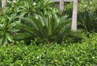 Blanchetowntropical-landscaping-4.jpg; ?>