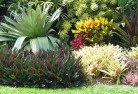 Blanchetowntropical-landscaping-9.jpg; ?>