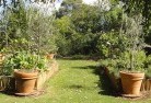 Blanchetownvegetable-gardens-3.jpg; ?>